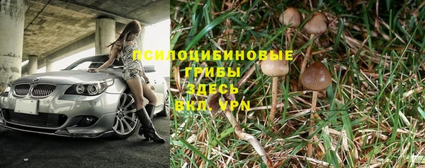 ПСИЛОЦИБИНОВЫЕ ГРИБЫ Верея