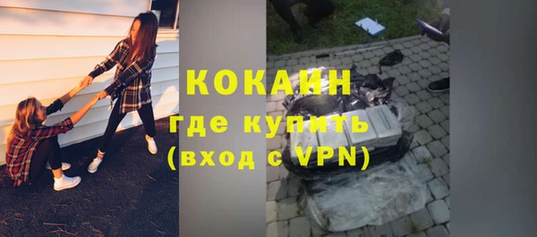ПСИЛОЦИБИНОВЫЕ ГРИБЫ Верея