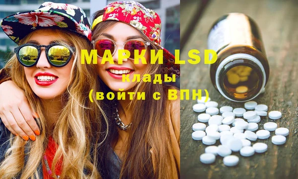 ПСИЛОЦИБИНОВЫЕ ГРИБЫ Верея