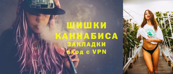 ПСИЛОЦИБИНОВЫЕ ГРИБЫ Верея