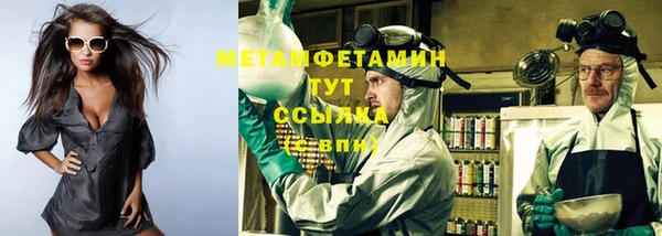 ПСИЛОЦИБИНОВЫЕ ГРИБЫ Верея