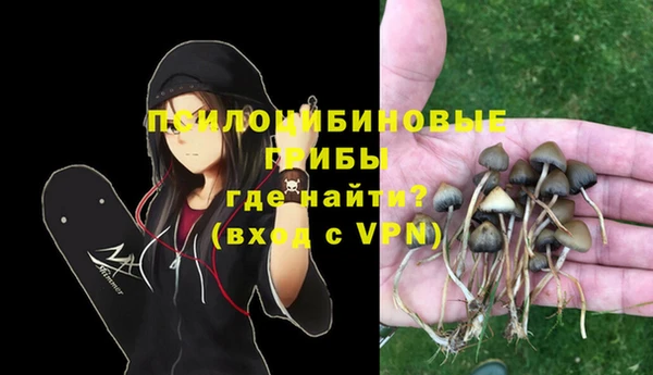 ПСИЛОЦИБИНОВЫЕ ГРИБЫ Верея