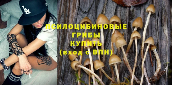первитин Верхний Тагил